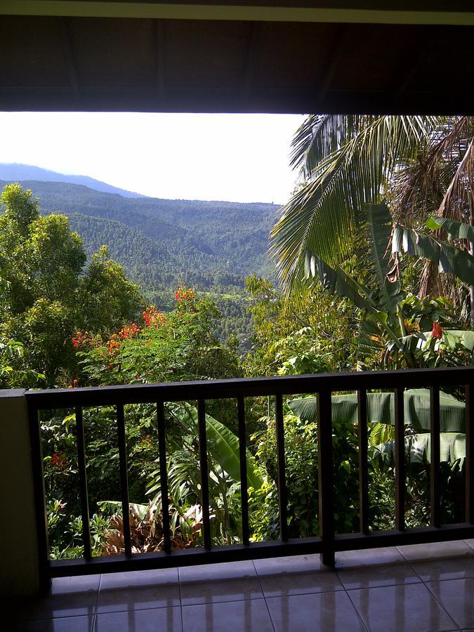 Made Homestay Munduk Exterior photo